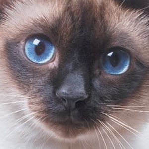 Meet your Posher, Marely